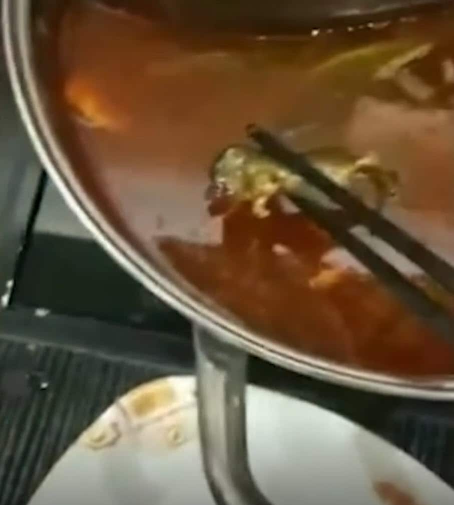 A video of a rat found in a hotpot at a Chinese restaurant angered the nation.