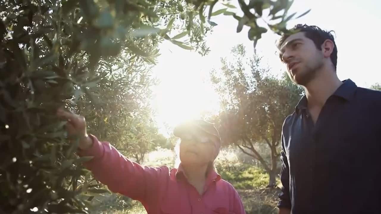 Mo Amin being shown through one of the local olive farms that supply his business.
