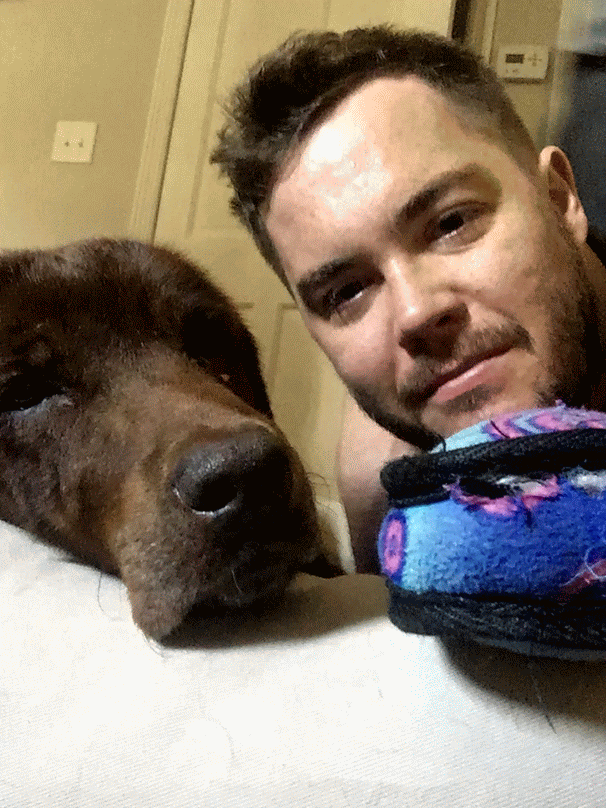 Dog kiss gif