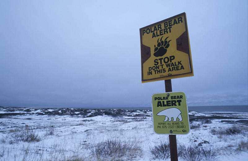 Canada Beach of Churchill Polar Bear information sign.