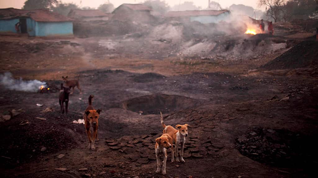 India to relocate 100,000 to douse centuries-old fires