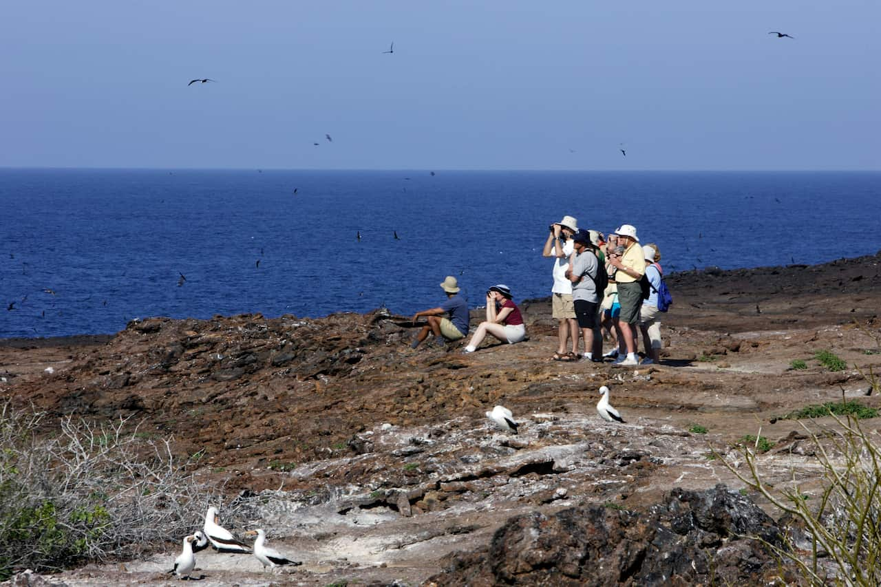 The 17-year study was based on data collected from avid bird watchers.