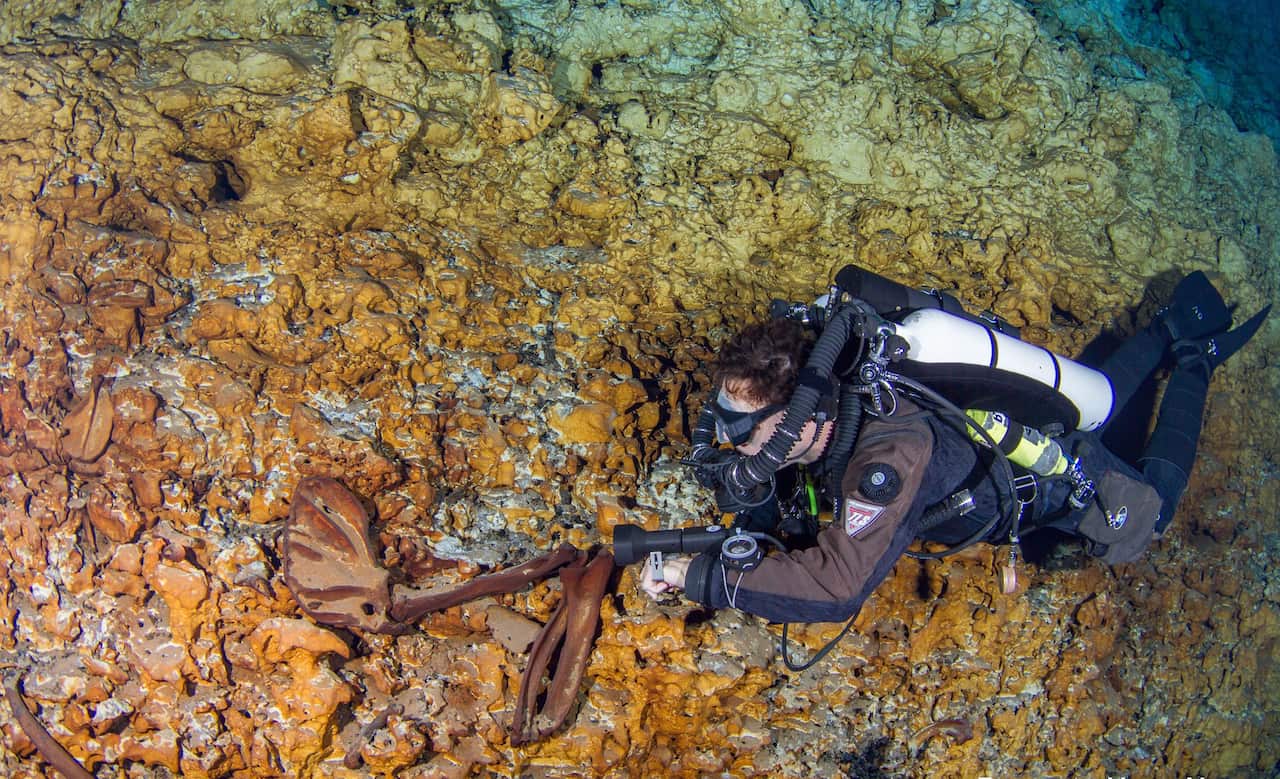A diver of the Tulum Speleological Project exploring a cave in the area called Hoyo Negro (Black Hole), in Tulum, Quintana Roo State, Mexico. (AFP PHOTO / INAH / ROBERTO CHAVEZ ARCE)