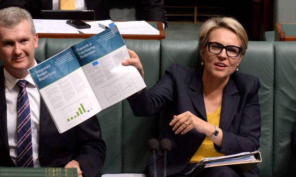 Deputy opposition leader Tanya Plibersek displays a Budget 2014 brochure during question time in the House of Representatives at Parliament House Canberra, Wednesday, June 4, 2014. (AAP)
