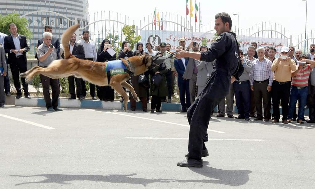 An Iranian policeman displays the bite force of his sniffer dog in eastern Tehran on June 26, 2014 to mark the International Day Against Drug Abuse and Illicit Trafficking. (AFP)