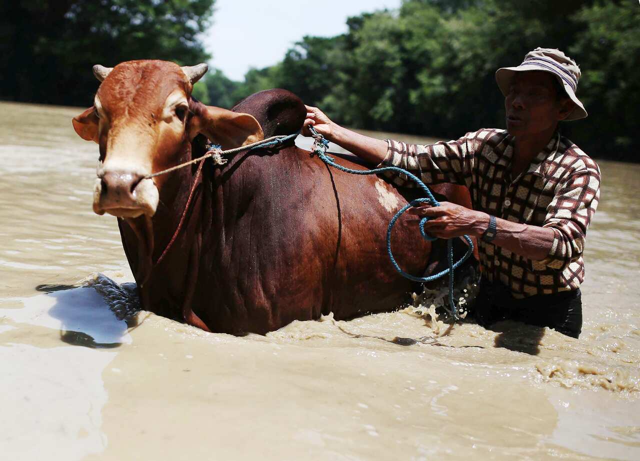 A villager makes his way through flood waters in Min San village, Pwintbyu township, Minbu, Magway division, in Myanmar, Monday, Aug. 3, 2015. (AP Photo/Hkun Lat)