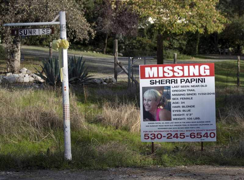 Sherri Papini
