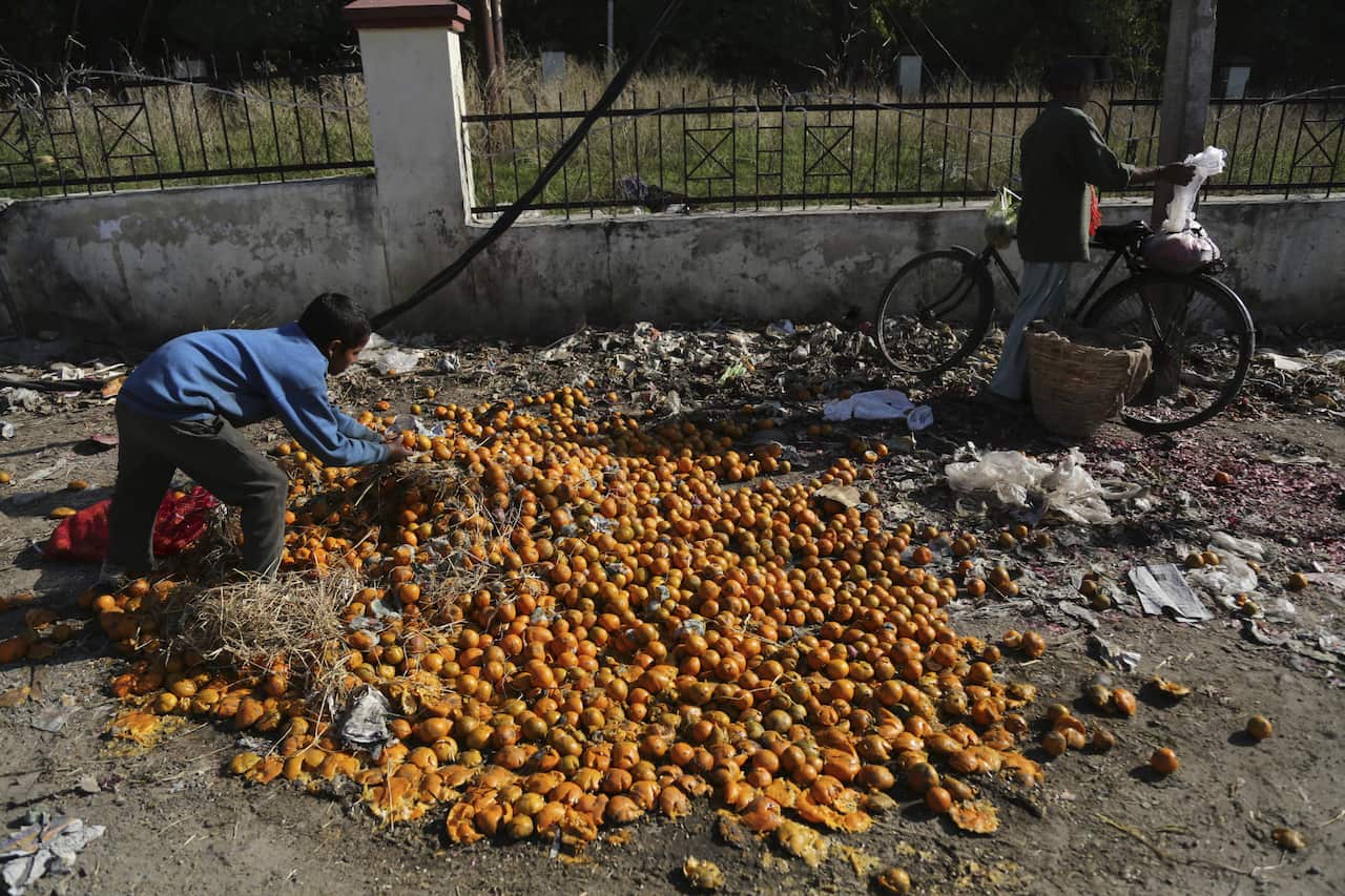 FILE: An Indian youth tries to salvage oranges from a pile of decayed fruits disposed by a roadside near a market on the outskirts of Jammu, India,