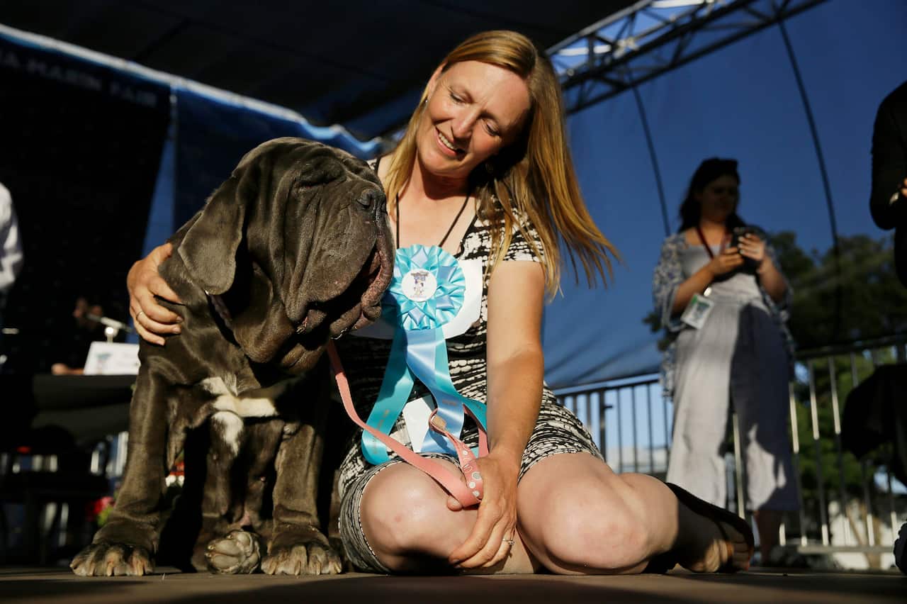 Shirley Zindler, of Sebastopol, Calif., sits with her dog Martha, a Neapolitan mastiff, who won the World's Ugliest Dog Contest