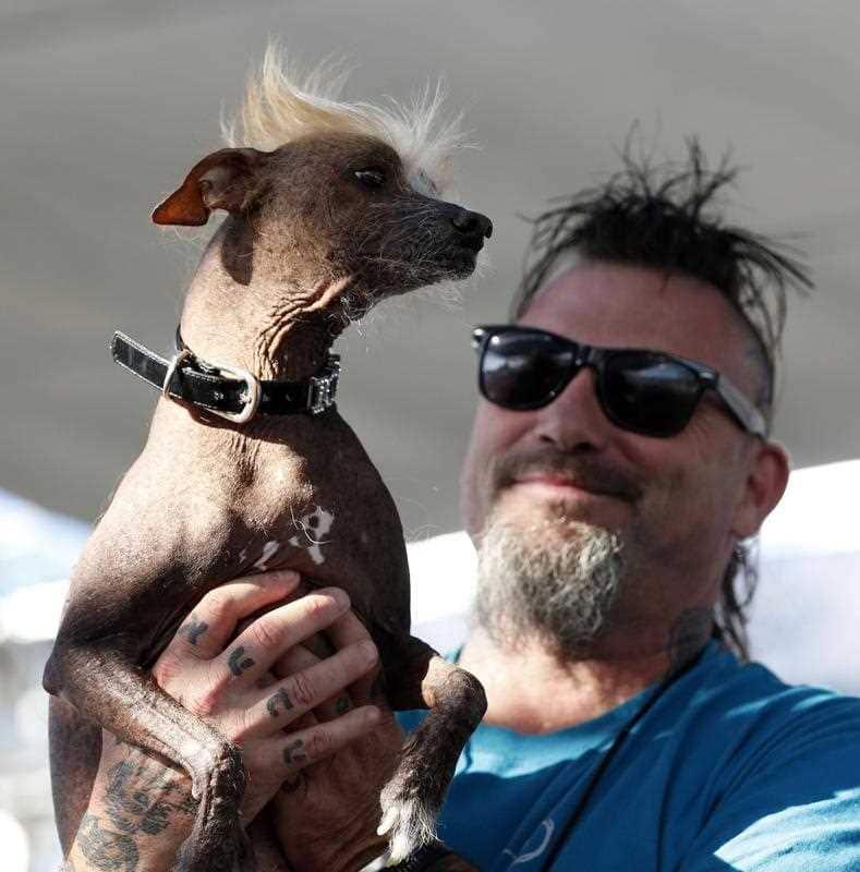 Jon Adler of Davis, California, holds his mixed breed dog 'Icky'