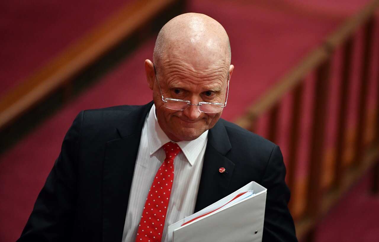 Liberal Democratic Party Senator David Leyonhjelm in the Senate.