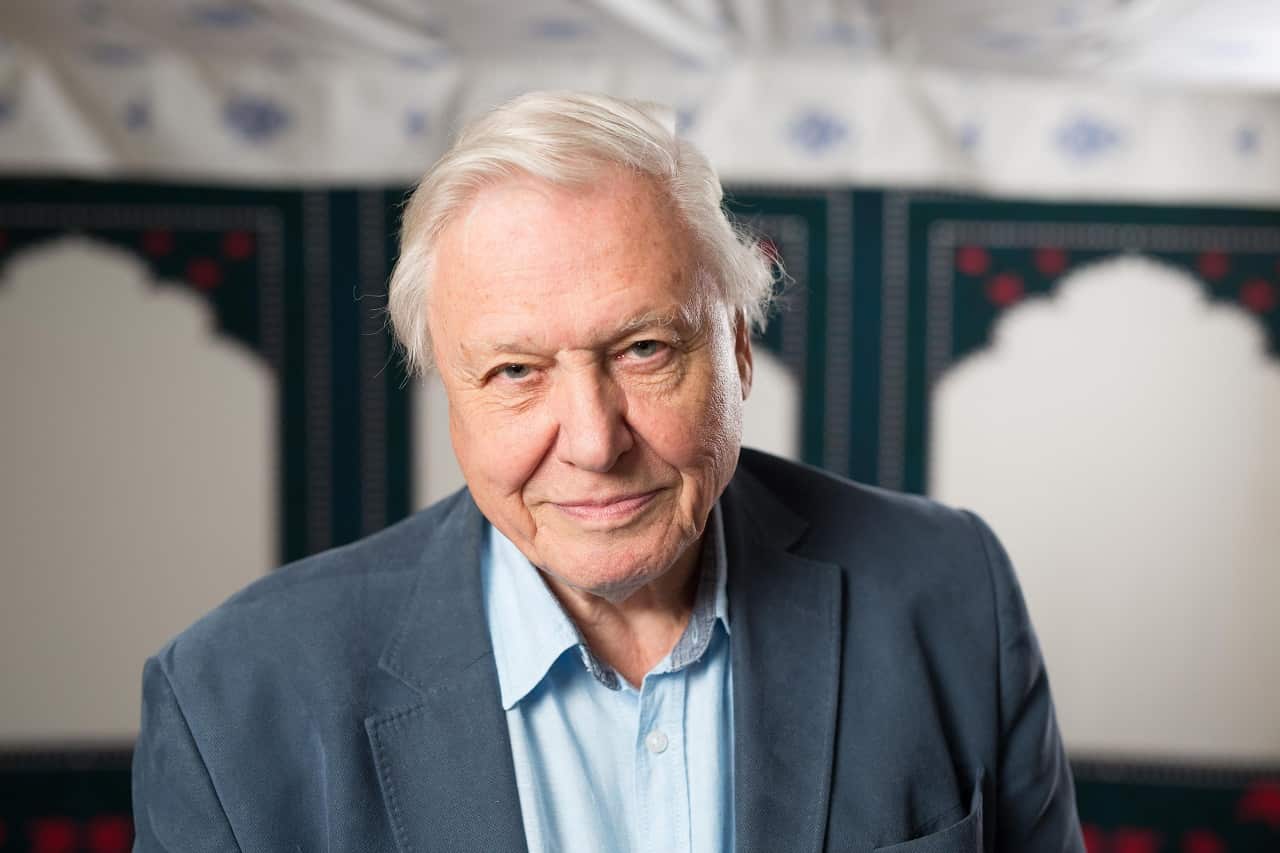 The television presenter has spoken of the threats Earth is facing, including the eight million tonnes of plastic dumped into the sea each year.