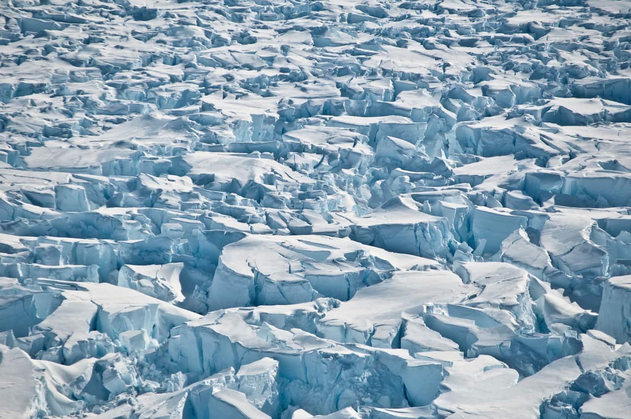 Scientists braved freezing conditions to collect the Antarctic penguin poo for analysis. 