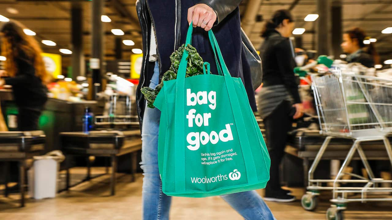 Woolworths Chiller Shopping Bag Each