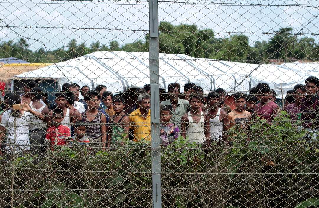 仙人掌　live on refugee mqdefault.jpg