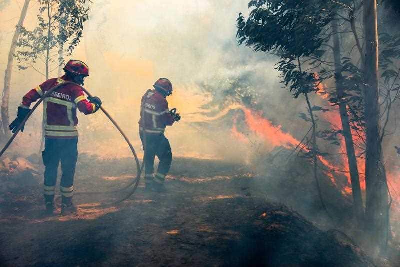 Firemen battle with a forest fire in Belem near Monchique, Algarve, southern Portugal, 08 August 2018.