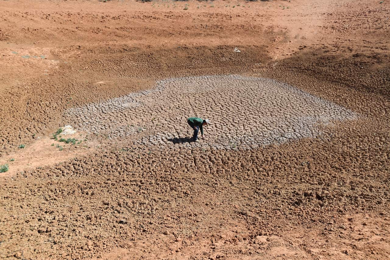 A farm near Broken Hill, NSW in August.