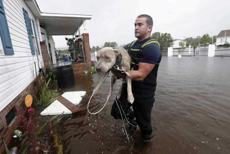U.S. Coast Guard Petty Officer Second Class David Kelley carries a dog from a flooded neighborhood in Lumberton, N.C., Sunday, Sept. 16, 2018.