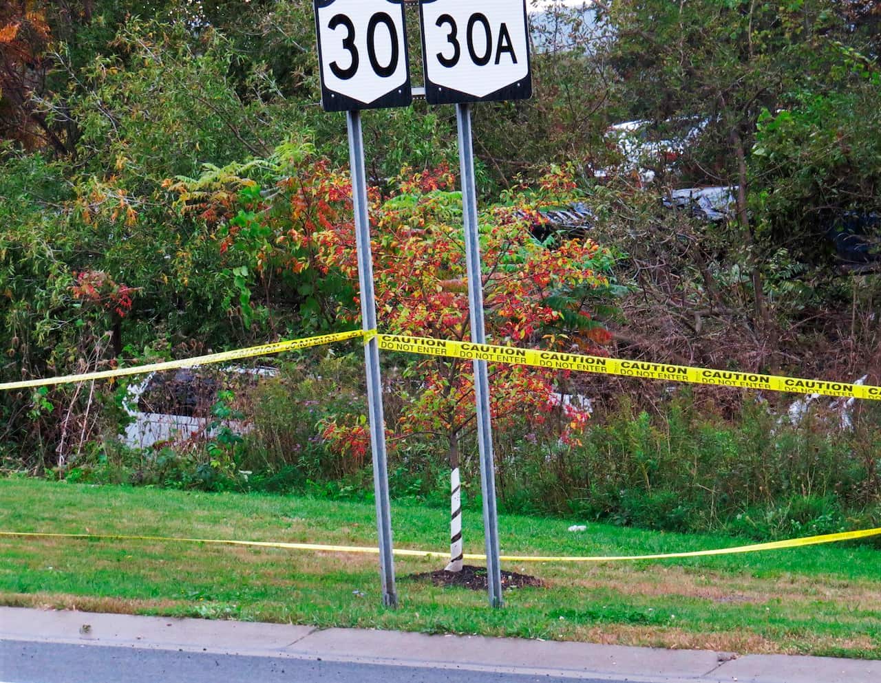A limousine has landed in the woods following a fatal crash in Schoharie, NY. 