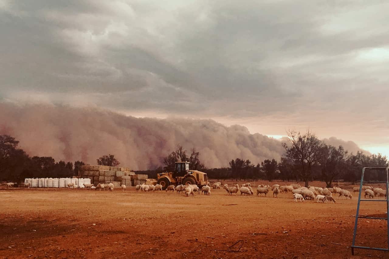 The walls of dust descended on Tuesday ahead of thunderstorms which brought rainfall of between five and 15mm