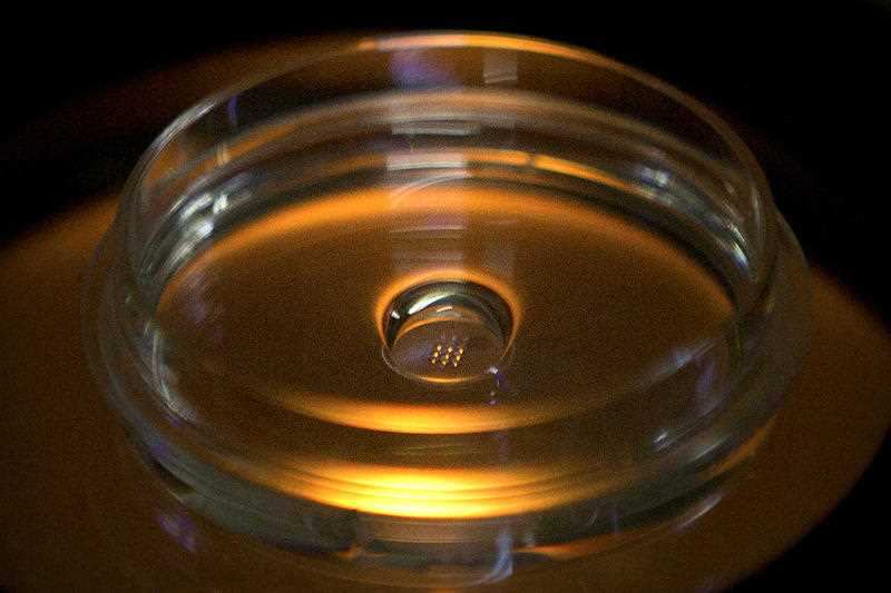 He Jiankui's claim to have altered twin girls' genes so they could not get HIV