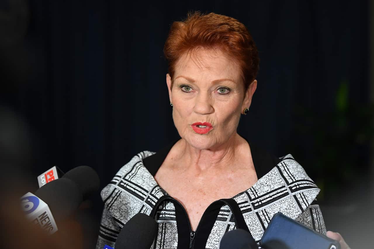 One Nation leader Senator Pauline Hanson holds a doorstop following the opening of the 57th Parliament at NSW Parliament in Sydney, Tuesday, May 7, 2019. (AAP Image/Joel Carrett) NO ARCHIVING