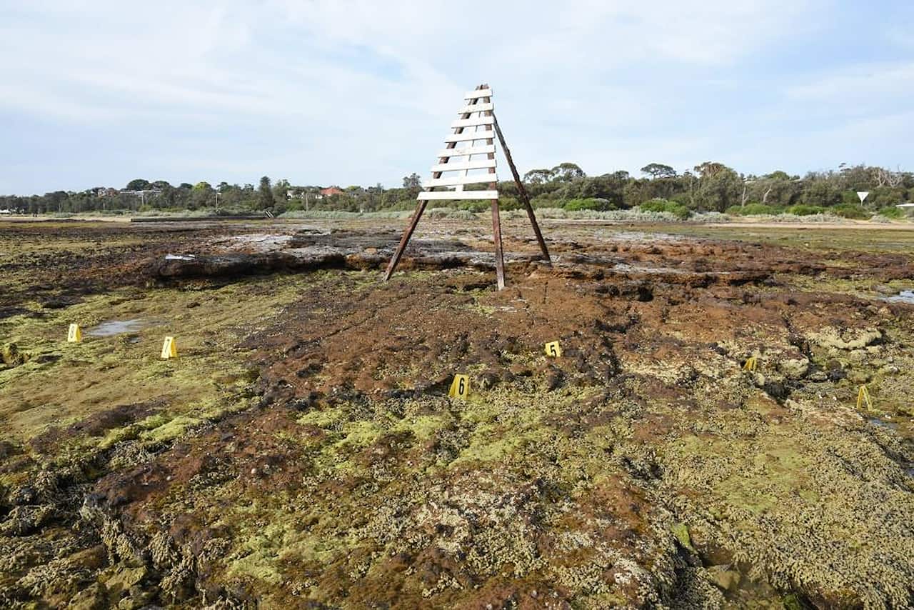 The scene where hundreds of human bone fragments were found in foreshore rock pools at Ricketts Point in Beaumaris, Melbourne.