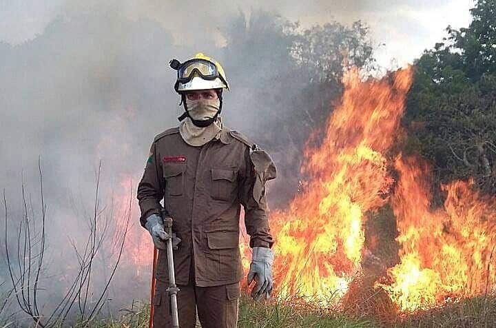 The fires in Brazil have been raging for three weeks.