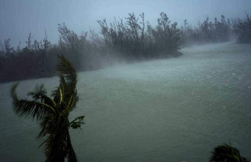 Strong winds from Hurricane Dorian blow the tops of trees