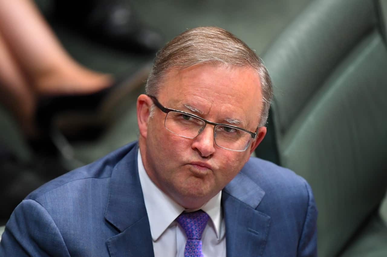 Australian Opposition Leader Anthony Albanese.