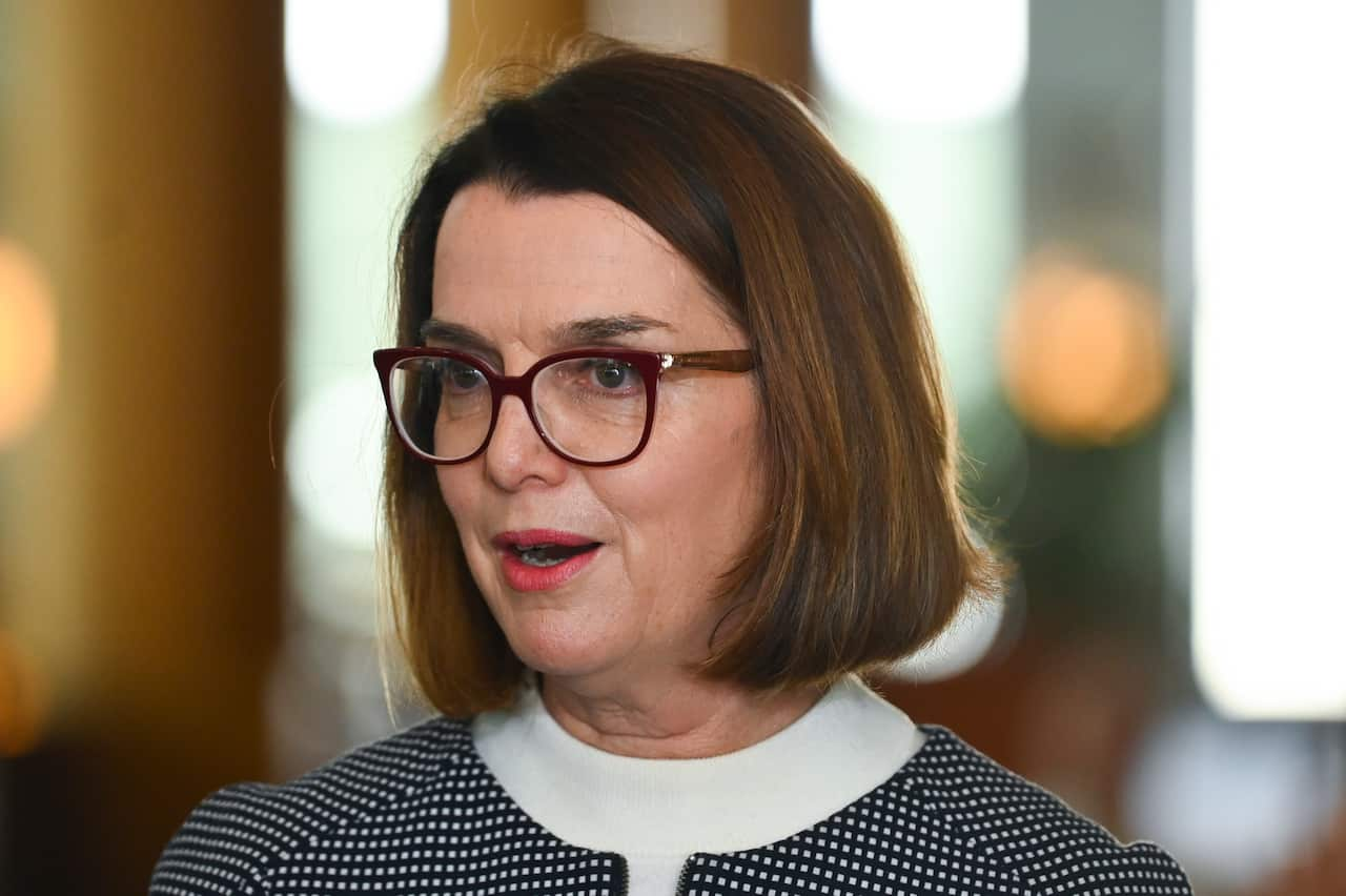 Social Services Minister Anne Ruston speaks to the media during a press conference at Parliament House in Canberra.