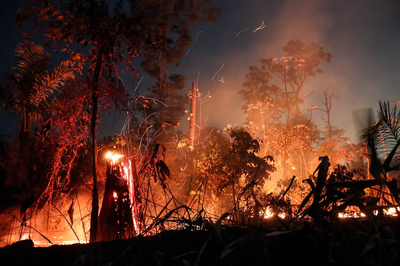 According to the National Space Research Institute of Brazil, the Brazilian Amazon lost 1,698 square kilometres of its vegetation cover last August.