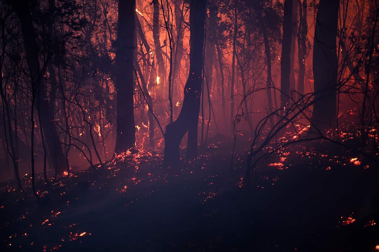 A bushfire burns close to homes on Railway Parade in Woodford NSW.