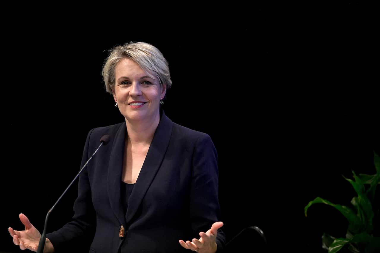 Shadow Minister for Education Tanya Plibersek addresses a Labor conference at the Chifley Auditorium in Sydney, Sunday, December 8, 2019. (AAP Image/Bianca De Marchi) NO ARCHIVING