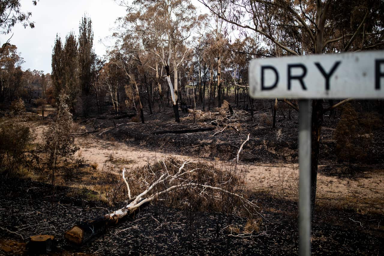 Dry River in Quaama, New South Wales, bares the scars of recent bushfires.