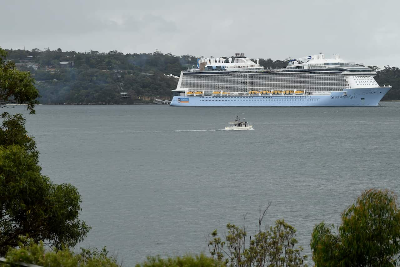 'Operation Nemesis' to see five cruise ships restocked and moved out of ...