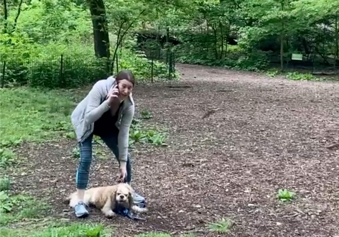 Amy Cooper with her dog calling police at Central Park in New York.