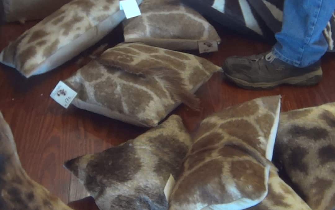Giraffe-hide pillows for sale in the US.