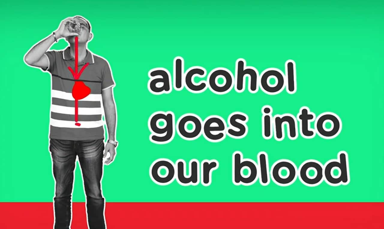 A key message from The Connecting Diversity Project.