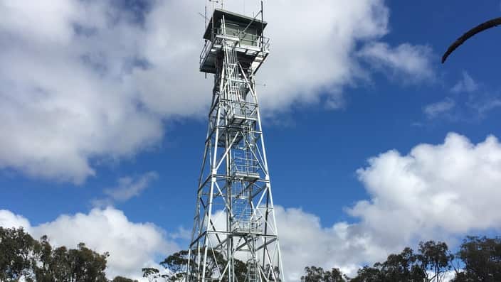 The fire lookout tower at Mount Barambogie, Victoria. (Luke Waters / SBS News)