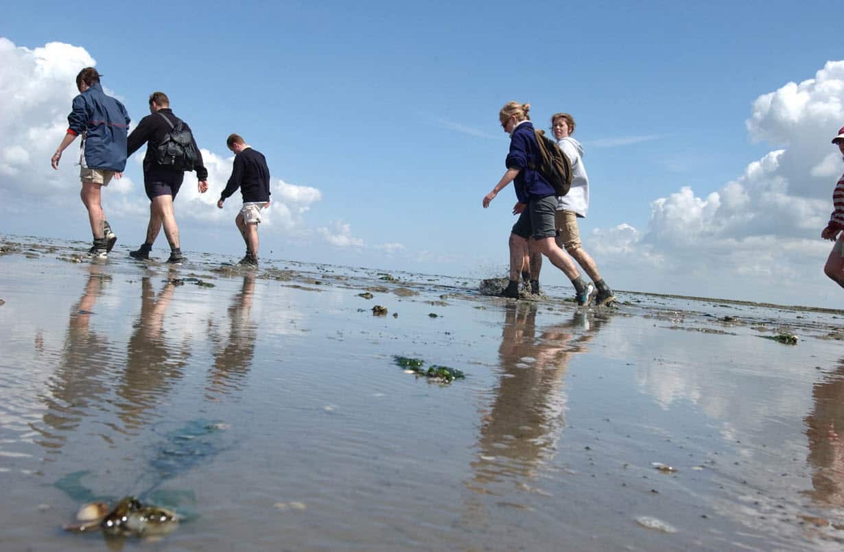 Tourists wade through the Wadden Sea between the northern Dutch village of Westernieland and the island of Schiermonnikoog, Netherlands