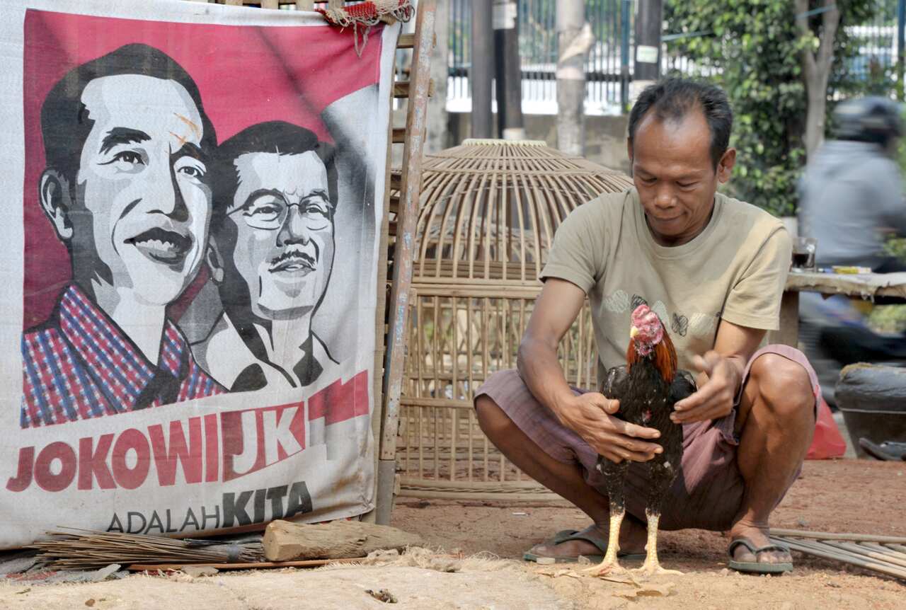 A banner of president-elect Joko Widodo and vice president Jusuf Kalla is seen at a fighting cock shed in Jakarta on August 29, 2014 (Getty)