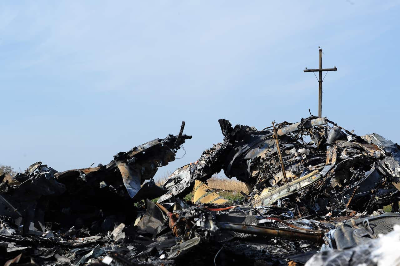 The wreckage of Malaysia Airlines flight MH17 near the village of Rassipnoe (Getty)