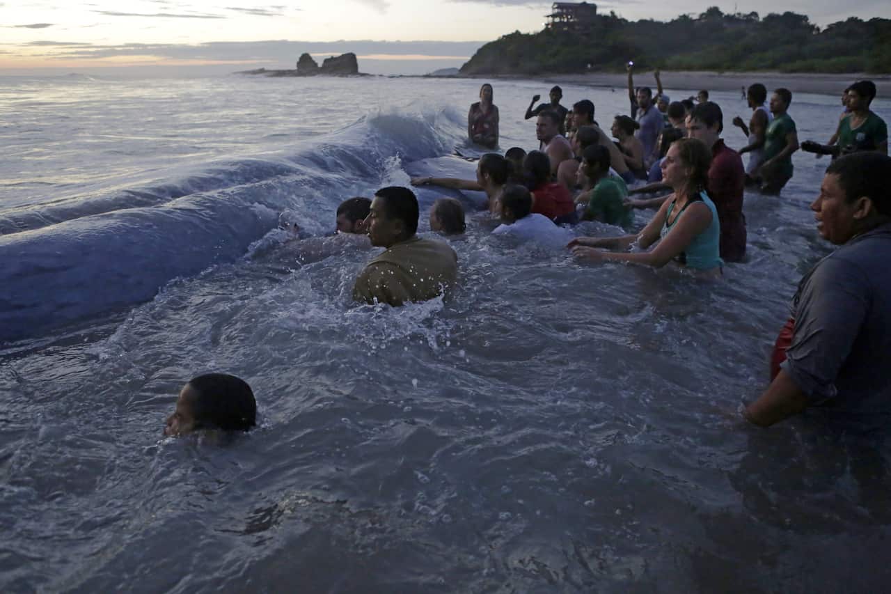 People try to help a stranded whale at Popoyo beach, 35km from Rivas, Nicaragua. (AFP/Getty)