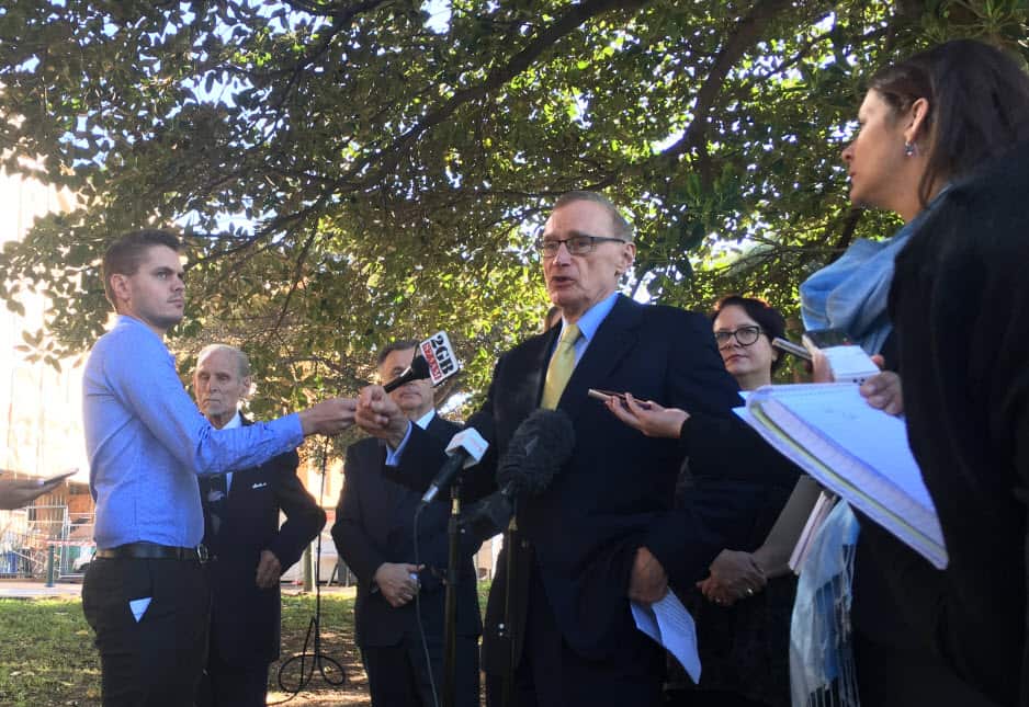 Dolphin Marine Magic