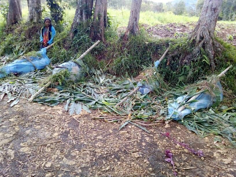 This is the photo of 16 people killed in Karida on Monday morning. 