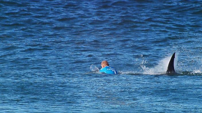Australia's Mick Fanning is attacked by a shark in the final round of the JBay Open surfing event.