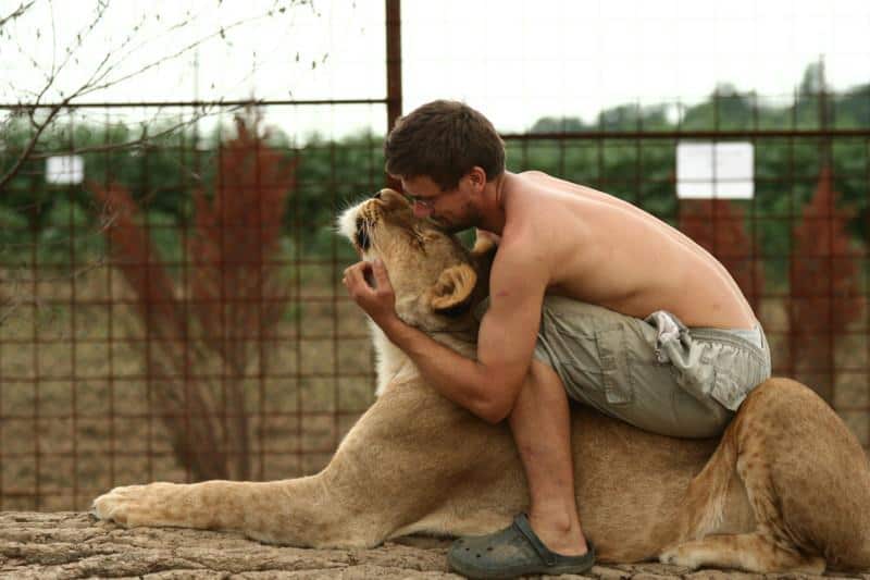 Michal Prasek with one of his lions.