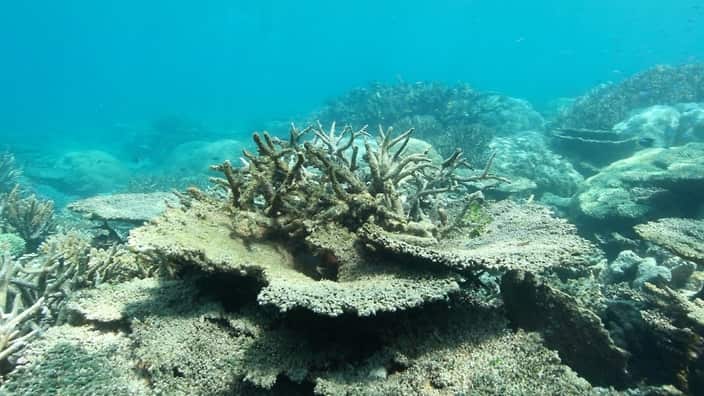 Great Barrier Reef