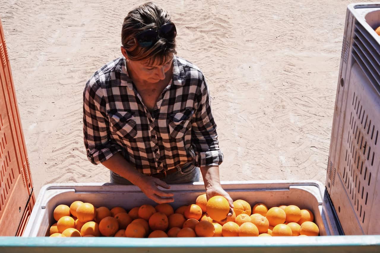 Ms Strachan with the last crop of fruit to be picked after turning off taps.